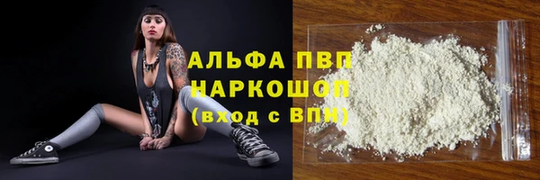 прущие крисы Новозыбков