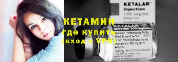 прущие крисы Новозыбков